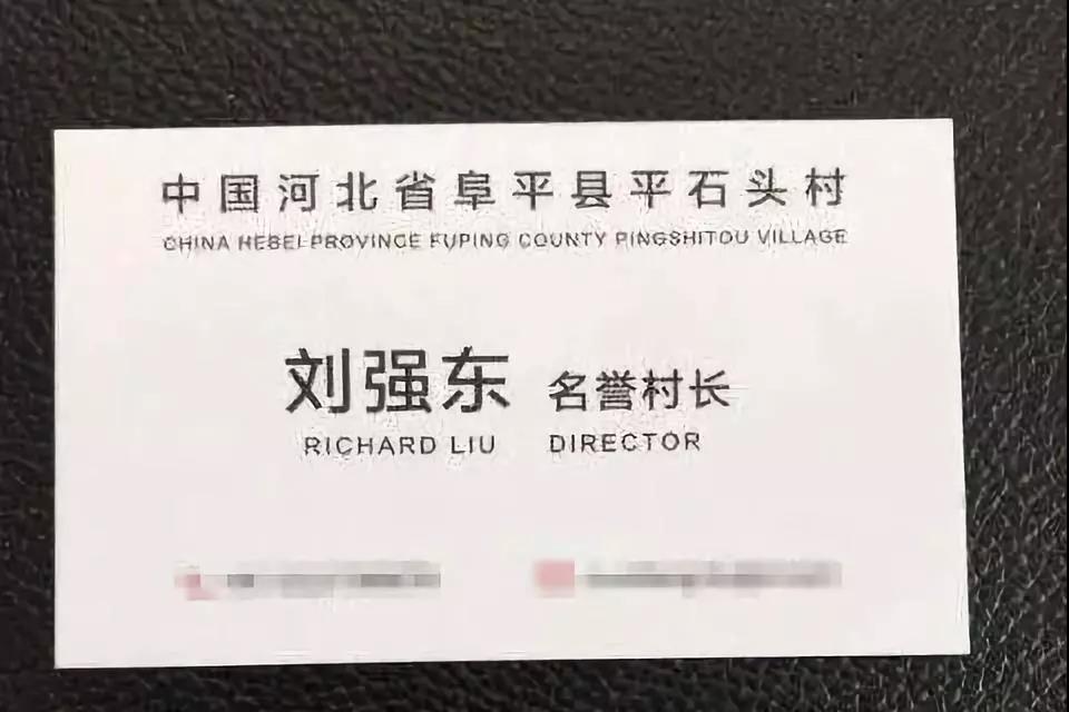 2017年11月28日，劉強東受聘為河北阜平縣平石頭村“名譽村長”。