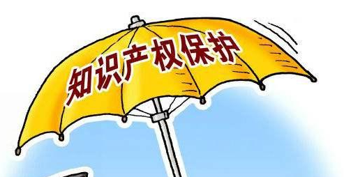 知識產(chǎn)權保護