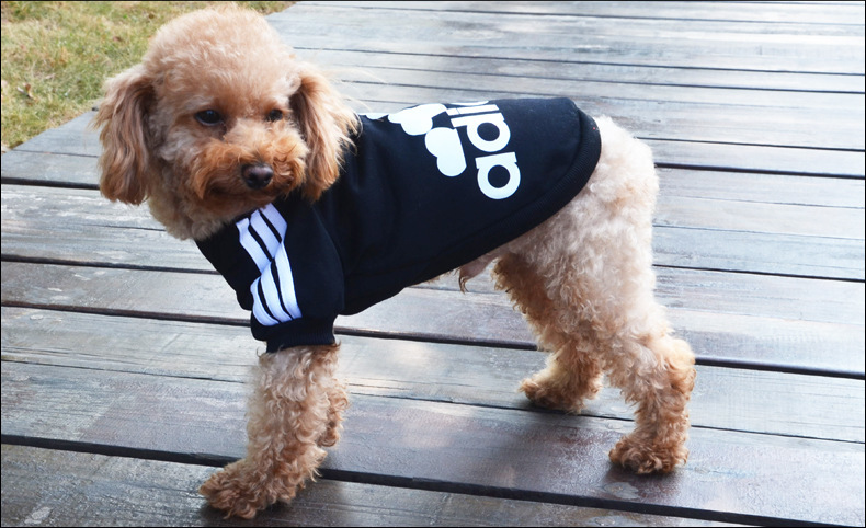 Adidas還有寵物服裝支線Adidog？ 其實是商標侵權