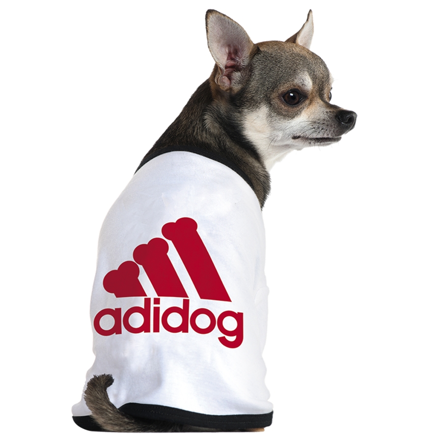 Adidas還有寵物服裝支線Adidog？ 其實是商標侵權