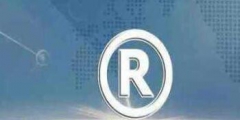 2019年第二季度我國共駁回惡意商標(biāo)申請2.4萬件