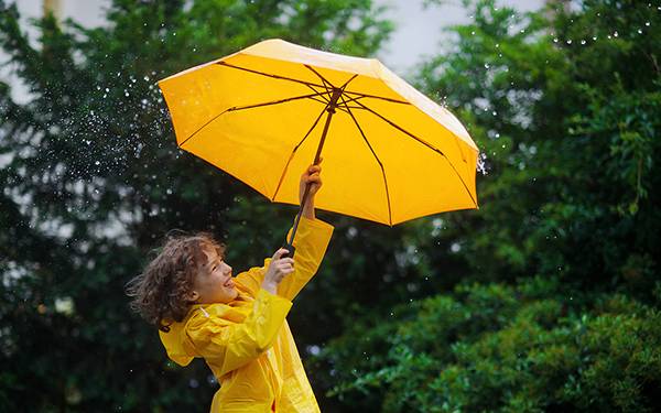 雨傘商標轉讓流程以及類別