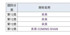 蔚來”為什么不用“未來”，商標是否被他人注冊