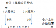 少數股東損益案例解析(少數股東損益是什么意思)