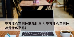 辱罵他人立案標準是什么（ 辱罵他人立案標準是什么意思）