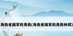 海南省國家稅務(wù)局(海南省國家稅務(wù)局林斌)