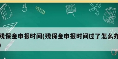 殘保金申報時間(殘保金申報時間過了怎么辦)