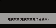 電費(fèi)發(fā)票(電費(fèi)發(fā)票幾個(gè)點(diǎn)稅率)