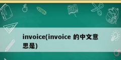 invoice(invoice 的中文意思是)