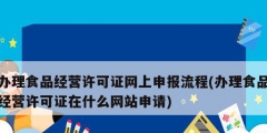 辦理食品經(jīng)營許可證網(wǎng)上申報(bào)流程(辦理食品經(jīng)營許可證在什么網(wǎng)站申請)