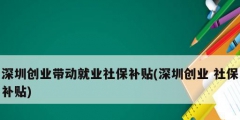 深圳創(chuàng)業(yè)帶動就業(yè)社保補(bǔ)貼(深圳創(chuàng)業(yè) 社保補(bǔ)貼)