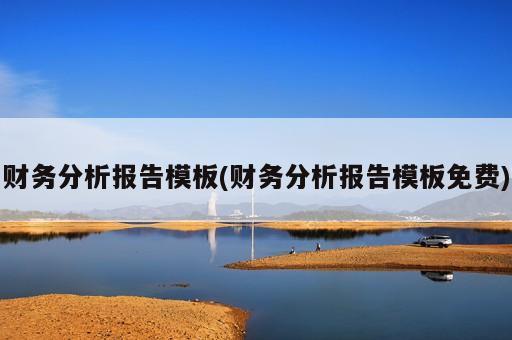財務分析報告模板(財務分析報告模板免費)