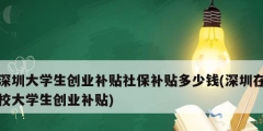 深圳大學生創(chuàng)業(yè)補貼社保補貼多少錢(深圳在校大學生創(chuàng)業(yè)補貼)