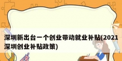 深圳新出臺一個創(chuàng)業(yè)帶動就業(yè)補貼(2021深圳創(chuàng)業(yè)補貼政策)