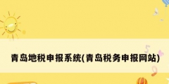 青島地稅申報系統(tǒng)(青島稅務申報網站)