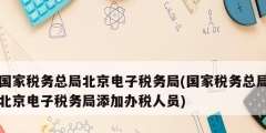 國家稅務總局北京電子稅務局(國家稅務總局北京電子稅務局添加辦稅人員)